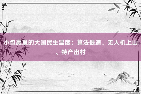 小包裹里的大国民生温度：算法提速、无人机上山、特产出村